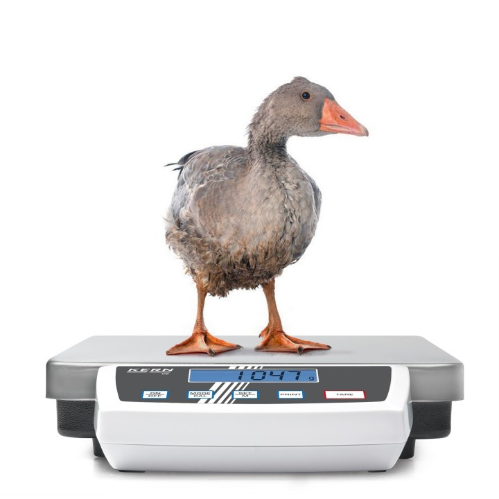 Plattformwaage KERN DE 6K1D