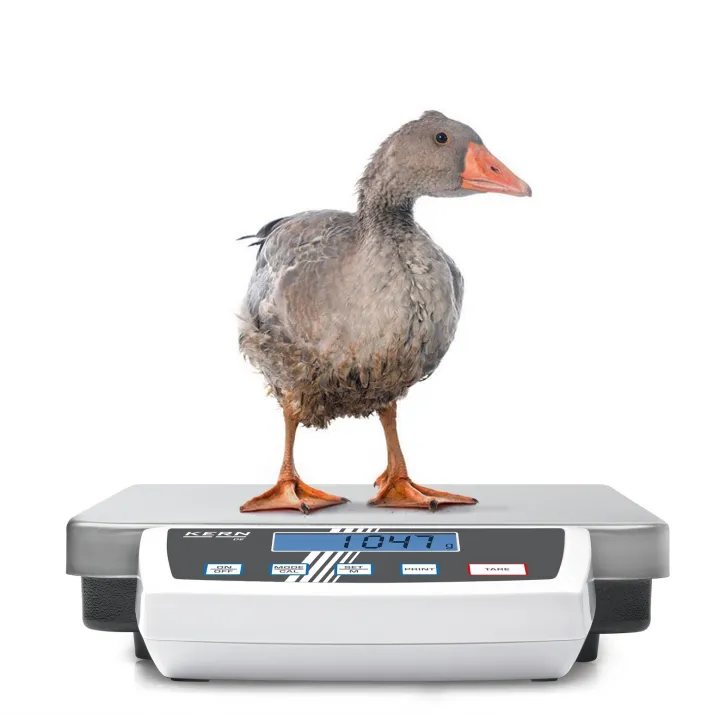 Plattformwaage KERN DE 6K1D