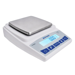 Precisa BJ 6100G Präzisionswaage